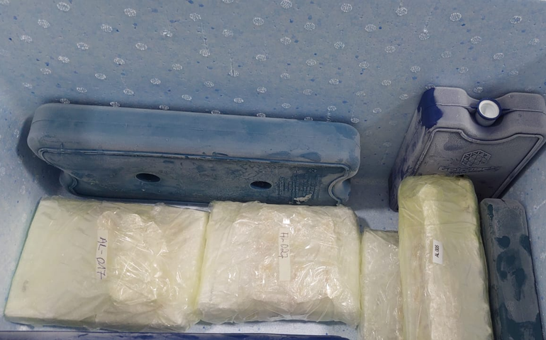 Adeal envia primeiro lote de amostras da sorologia da aftosa para análise em PE