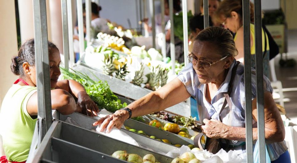 Feira da Agricultura familiar / Foto: SEIDH