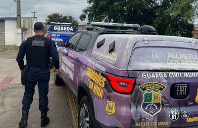 Videomonitoramento flagra caso de violência doméstica em Palmeira