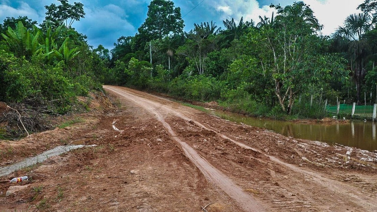 Ambientalistas denunciam desmatamento às margens de rodovia amazônica