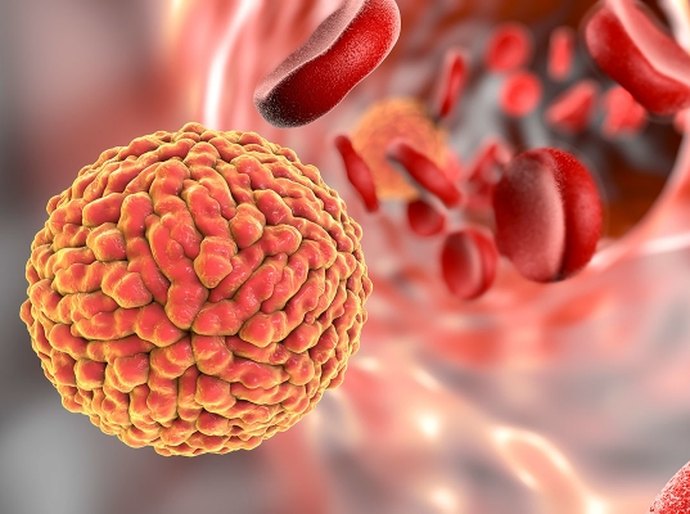 Novo Programa de Pesquisa do SUS traz atenção ao Zika vírus