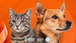 Ação em defesa dos pets. Fonte: Ascom Joaquim Gomes