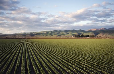 Safra em alta reforça a importância dos chicotes elétricos nas máquinas agrícolas