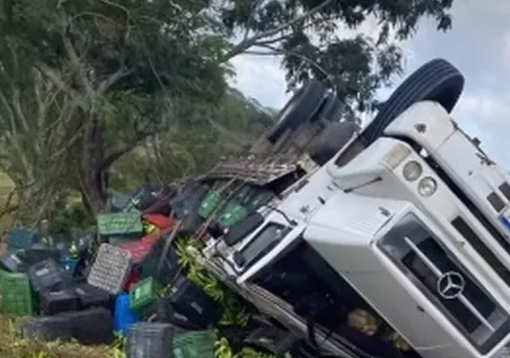Caminhão carregado com bananas tomba na AL-220 em São José da Tapera