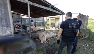 o / Foto: Foto: Ascom SSP/SE