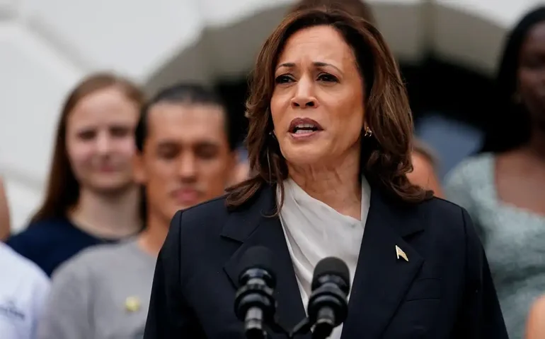 Kamala Harris: quem apoia e quem não apoia a candidatura da vice de Biden