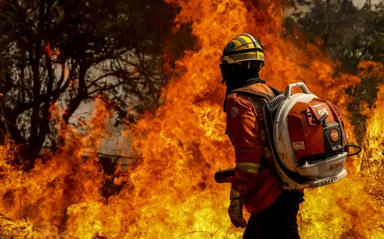 Bombeiros combatem fogo na Floresta da Tijuca por mais de 14 horas