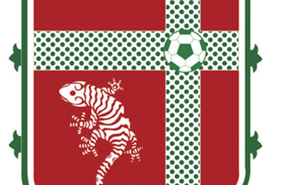 Escudo Lagarto Futebol Clube / Foto: internet