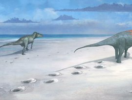 Paleontólogos descobrem no Uruguai nova espécie de titanossauro que viveu há 80 milhões de anos (FOTOS)