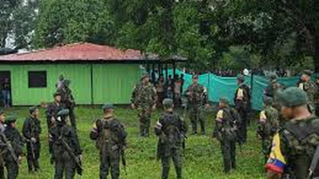 Dissidentes das Farc colocam 'em risco' realização da COP16 sobre biodiversidade na Colômbia
