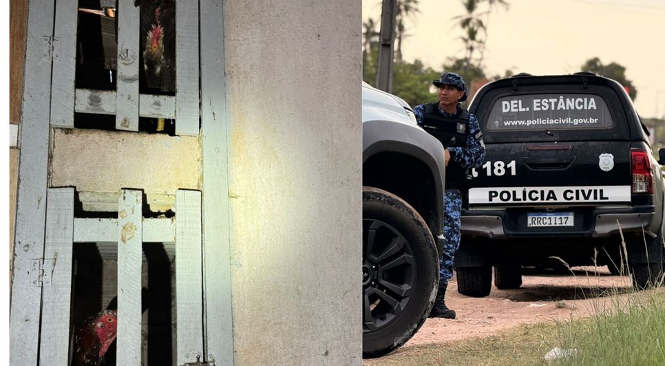 Azul e Branco Minimalista Brochura Médica Com Três Dobras (1) / Foto: Foto: SSP/SE