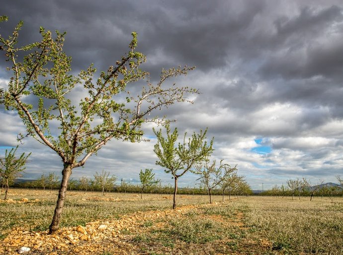 SNF inicia agenda de resiliência climática diante das projeções de intensificação do El Niño