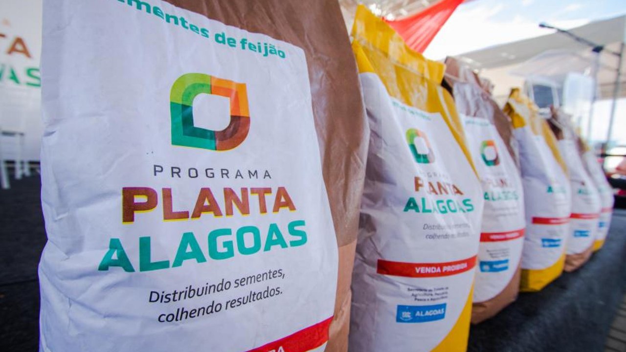 Seagri promove entregas de títulos, sementes e ensiladeiras no Alto Sertão durante Governo Trabalhando