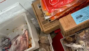 Vigilância Sanitária interdita trailer irregular e apreende alimentos no Jaraguá