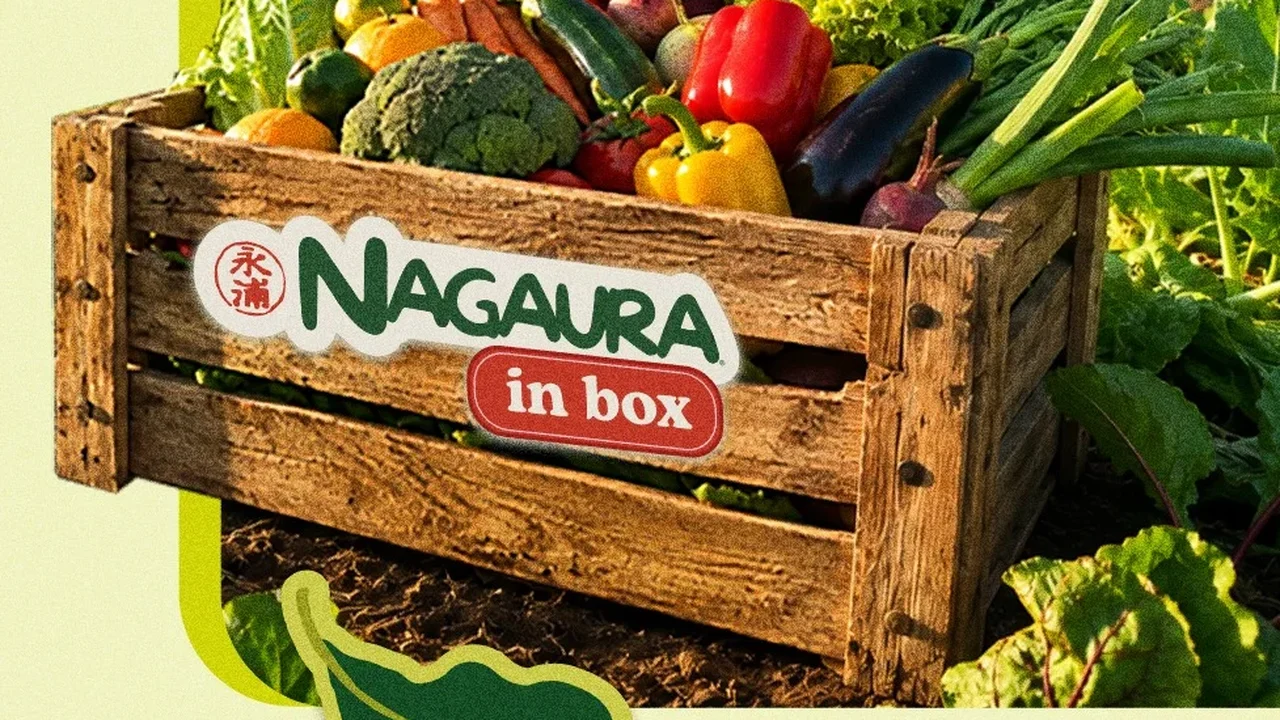 Quer comer sem agrotóxicos? Feira personalizadas chegam à porta de casa