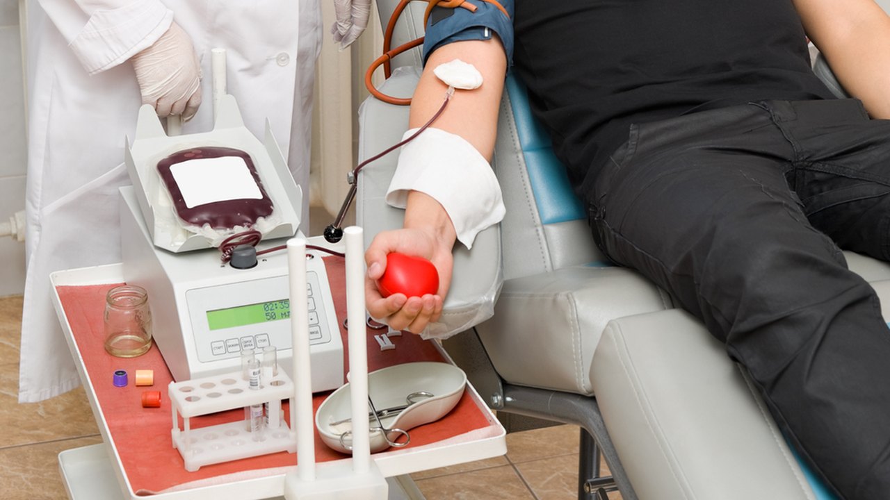 Ampliada para 69 anos a idade máxima de doação de sangue