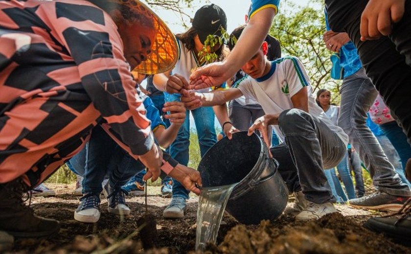Arapiraca é reconhecida como 'Cidade Arborizada' pela ONU