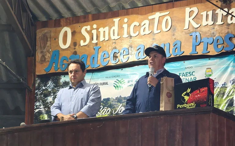 Preço de terneiros em SC revela alta na média estadual e variações regionais