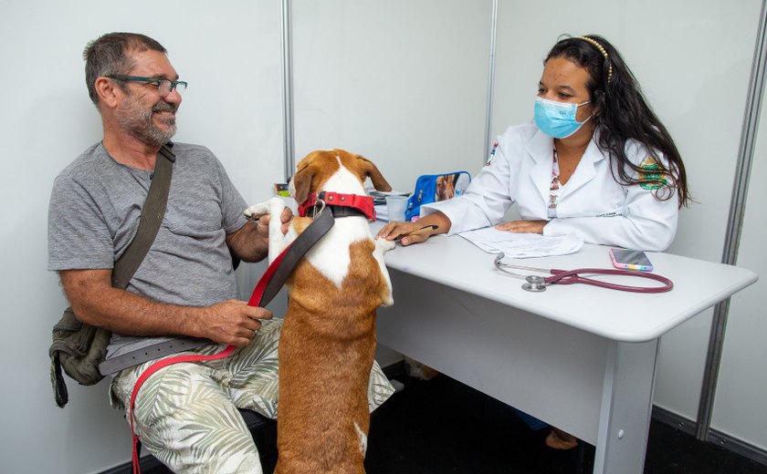 Maceió encerra campanha de vacinação antirrábica com 75 mil animais imunizados