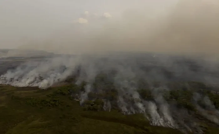 Alerta é de organizações da sociedade civil de defesa do meio ambiente