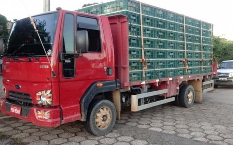 Operação integrada apreende cerca de 9 mil aves sem nota fiscal em Alagoas