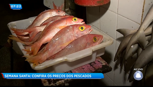 Peixe e camarão