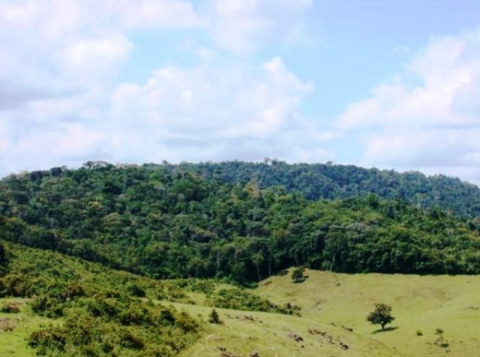 Membros de assentamentos recebem projeto do IMA em Joaquim Gomes