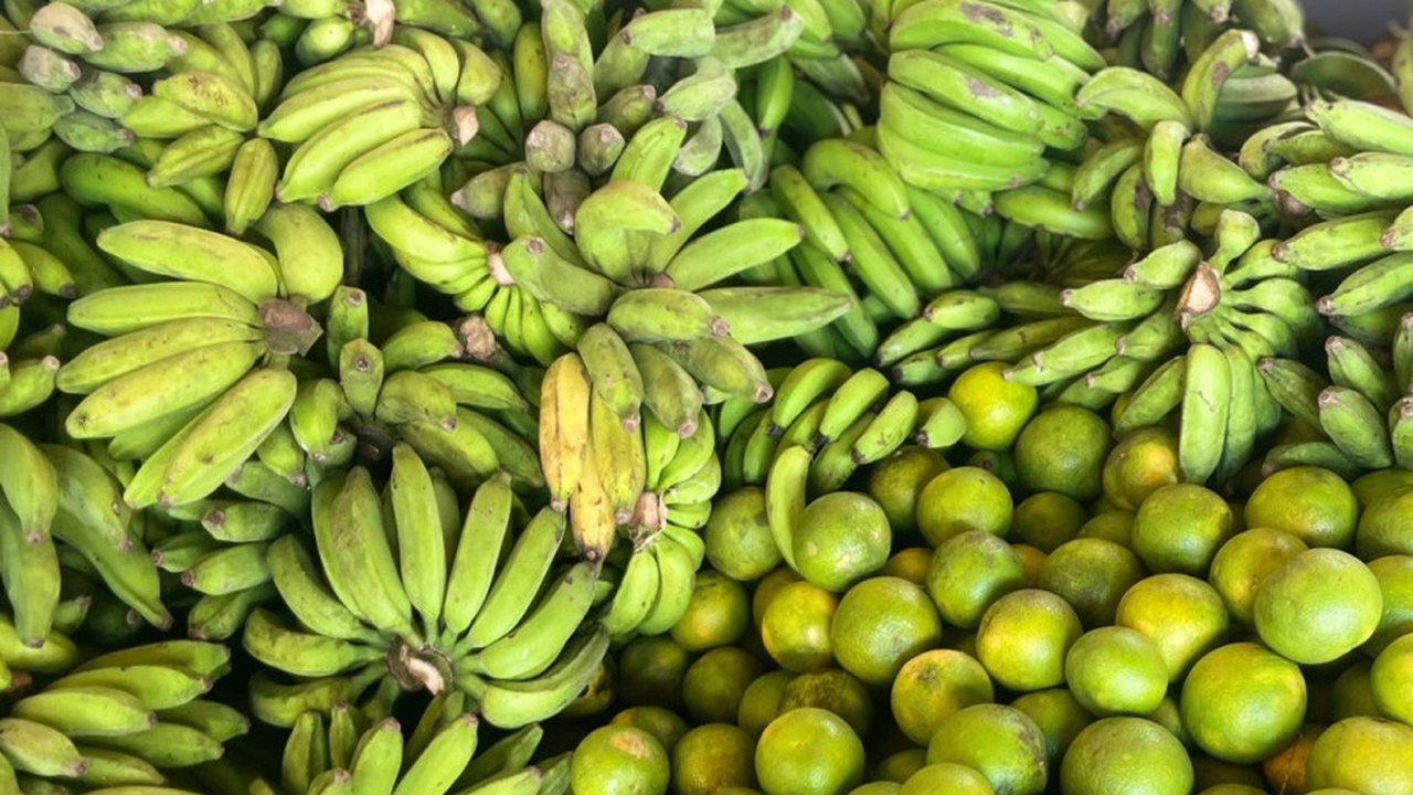 Engenheiro agrônomo da Emater dá dicas de como economizar na hora da feira