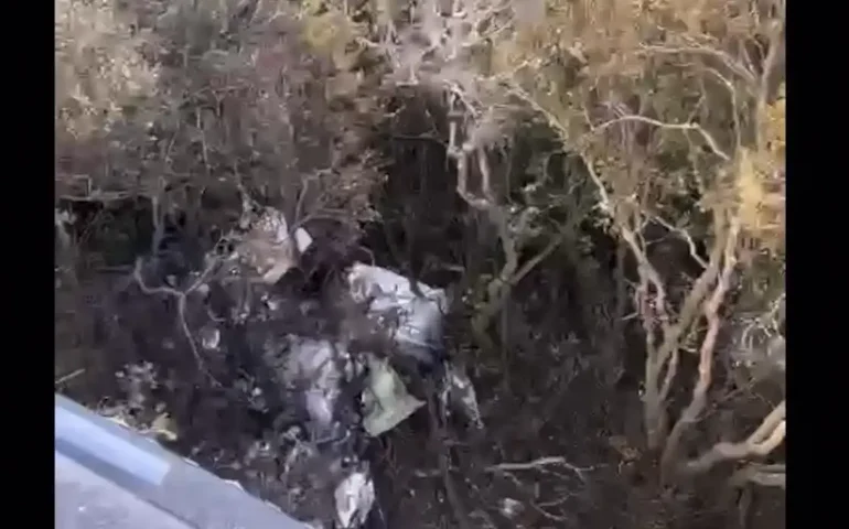 Destroços de avião desaparecido são encontrados em mata no Amazonas