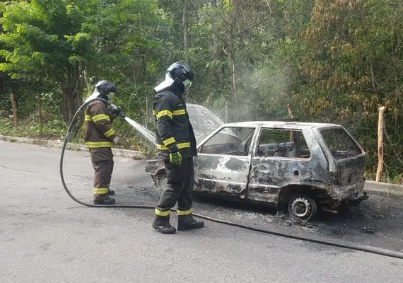 Carro é destruído por incêndio na BR-104 em Messias