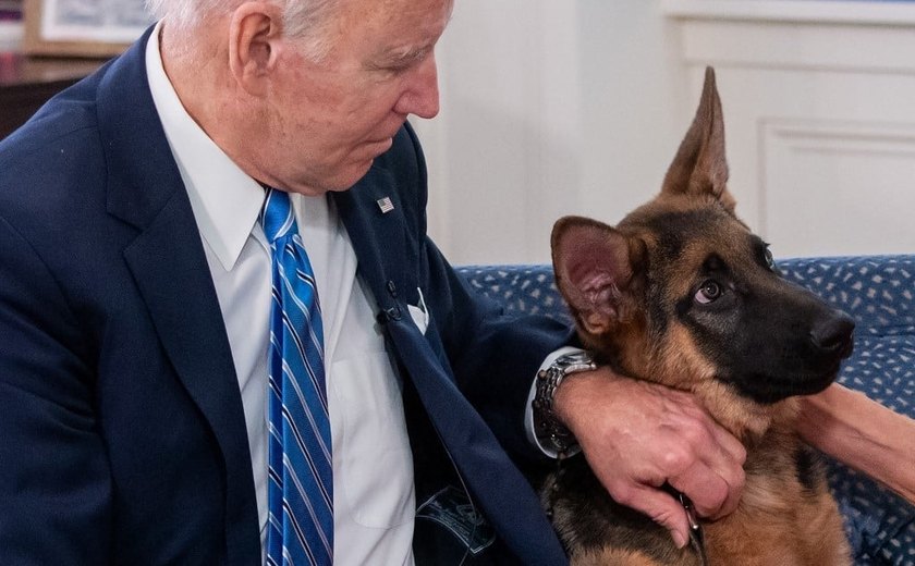 Distribuição farta de mordidas: Commander, o cão do presidente Biden, deixa a Casa Branca