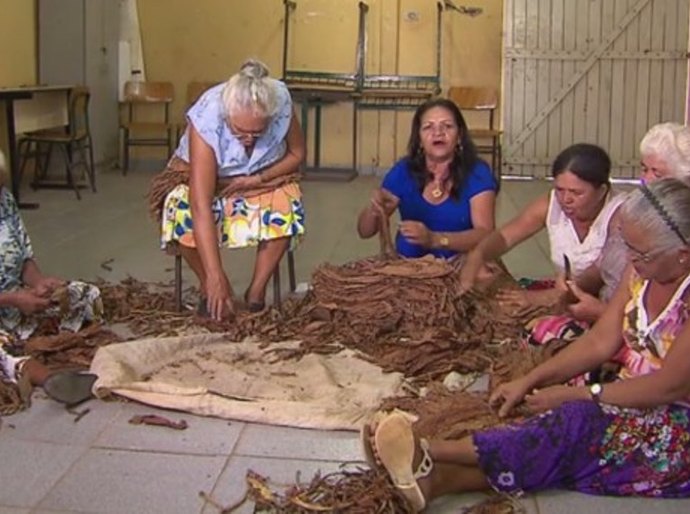 “Blues” de Alagoas: o canto das destaladeiras de fumo de Arapiraca