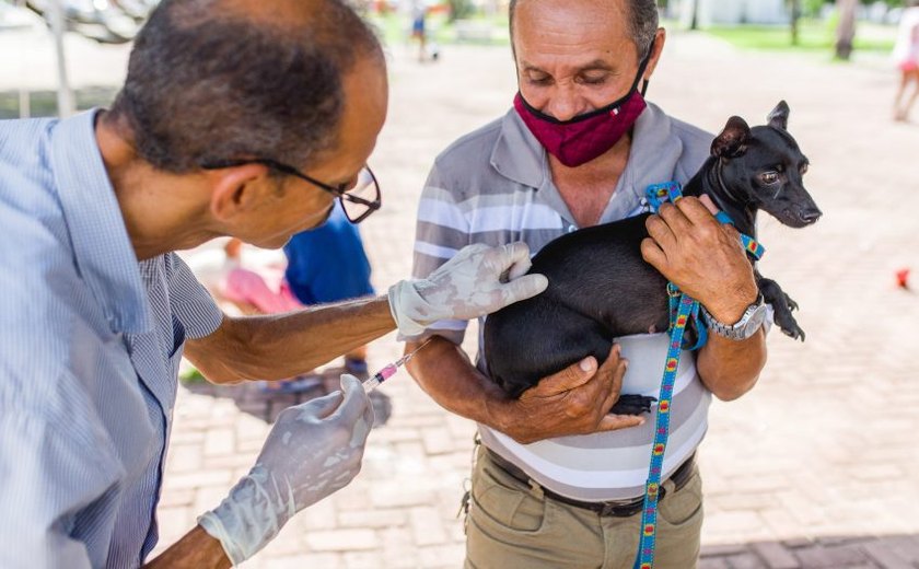 Campanha de vacinação antirrábica estará na parte alta neste sábado (9)