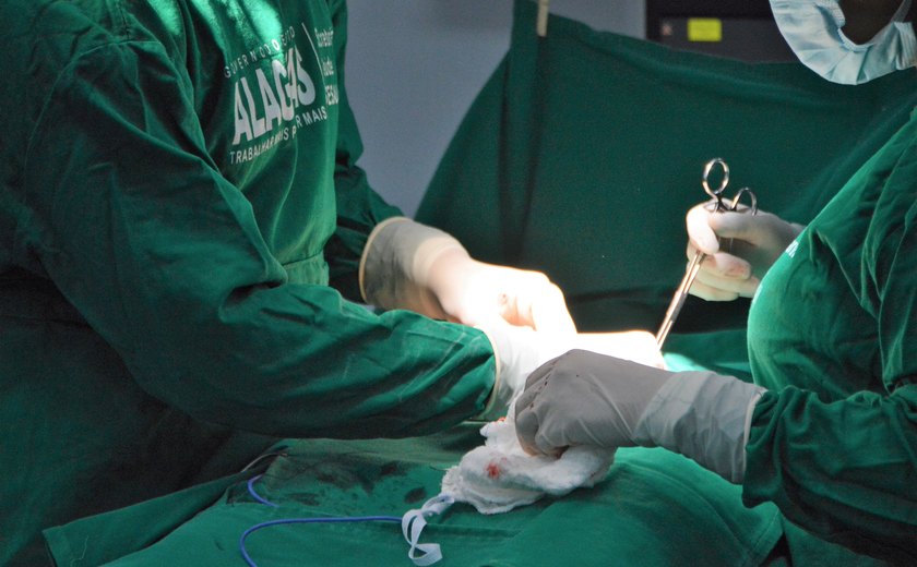 Alagoas alcança marca notável de 89 transplantes de órgãos