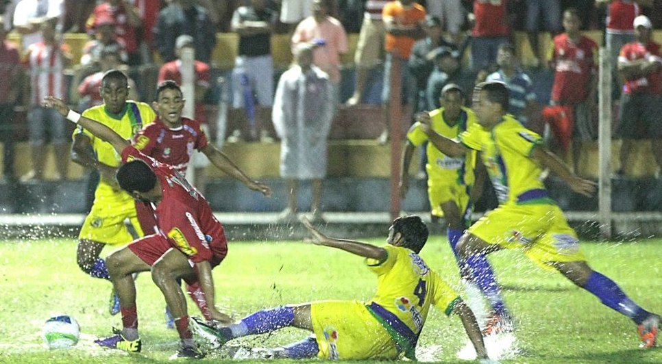 Foto: FSF