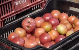Os desafios de combater o desperdício de comida
