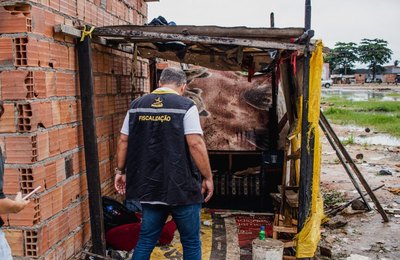 Convívio Social remove estrutura utilizada para tráfico de drogas no Benedito Bentes