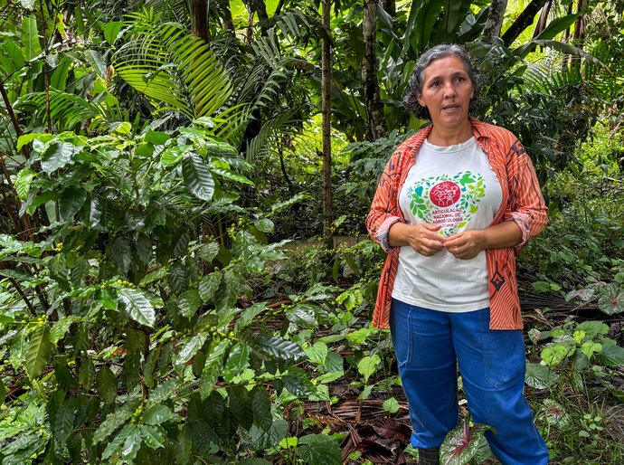 Agricultura de baixo carbono se transforma em realidade no campo alagoano