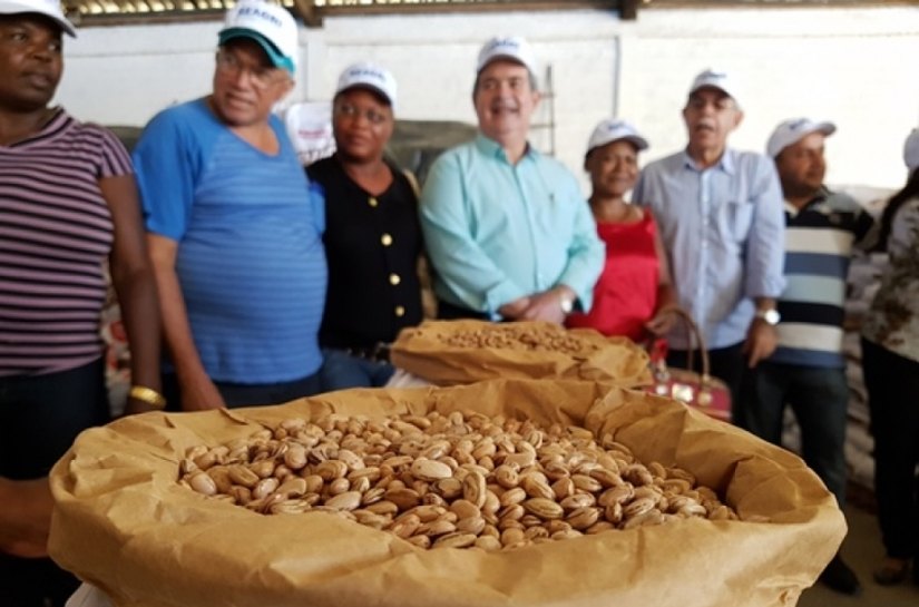 Seagri entrega 18 mil kg de sementes para comunidades tradicionais de AL