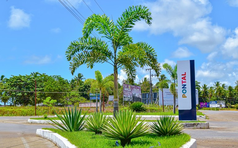 Arborização e Paisagismo: Coruripe alcança a marca de 5 mil mudas plantadas em 3 anos