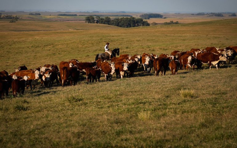 PIB cresce 1,4% no 1º trimestre em relação ao 4º trimestre de 2024