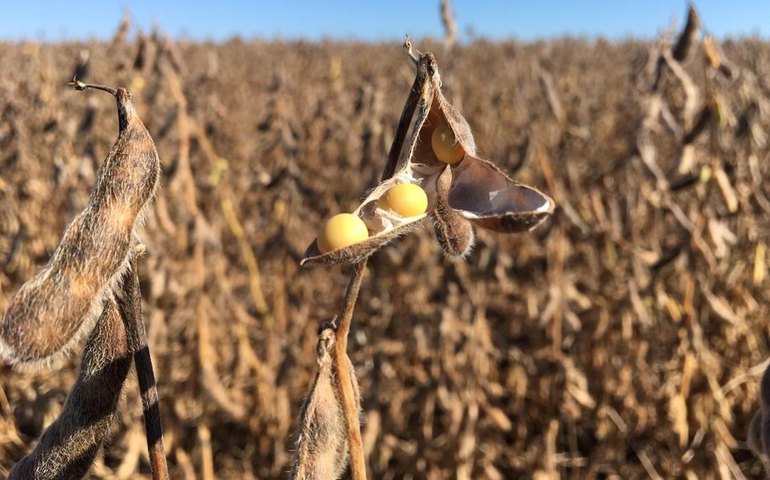 CMN flexibiliza crédito a agricultores de áreas com riscos climáticos