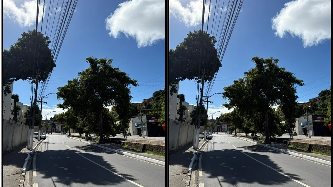 Em indicações, Aldo Loureiro pede poda de árvores localizadas no Bom Parto e no Centro de Maceió