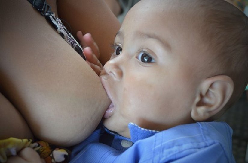 Sesau realiza capacitação sobre segurança alimentar e manuseio de leite humano