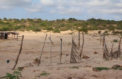 Com mais de 90% do território suscetível à desertificação, Pernambuco recebe seminários sobre o tema a partir de 23 de março