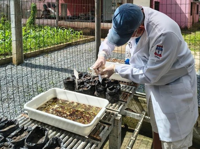 Ufal integra projeto campeão de prêmio nacional de preservação ao Meio Ambiente