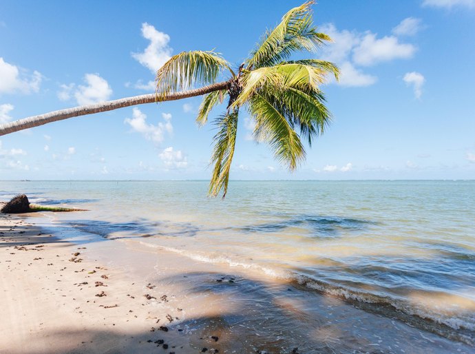 O Melhor do Turismo Brasileiro: Alagoas é finalista em prêmio do jornal Estadão