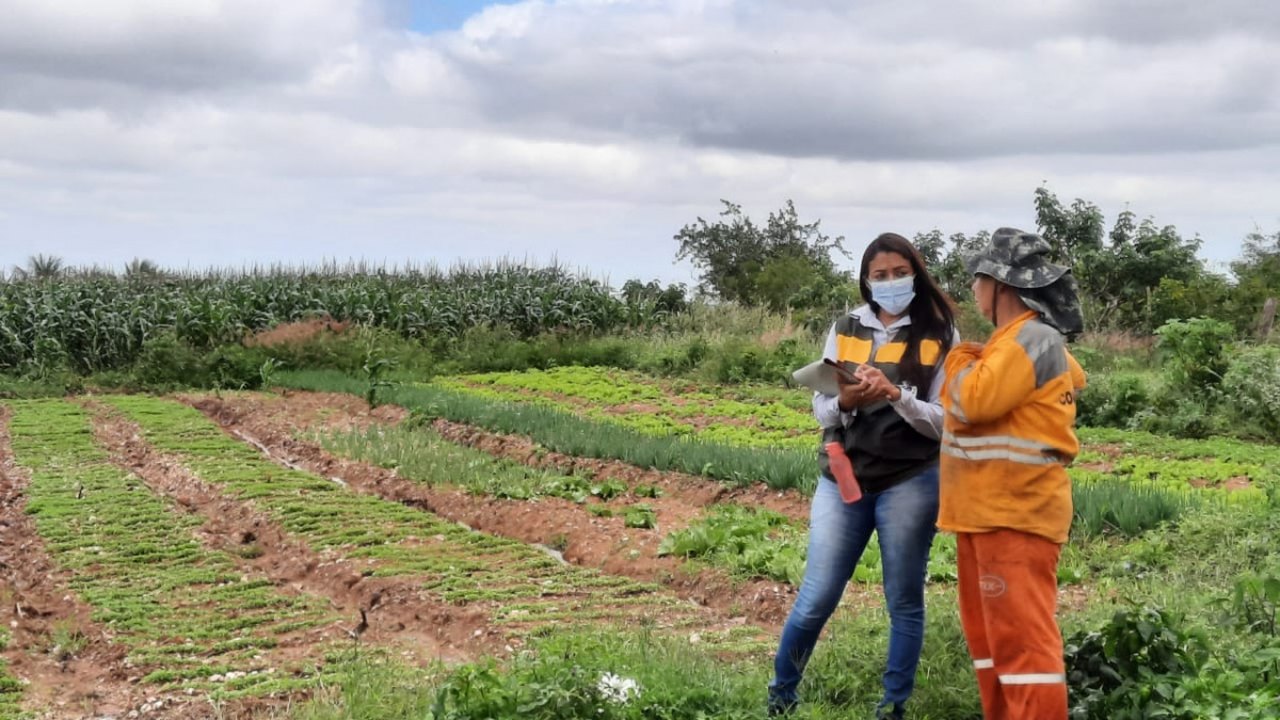 Dia do engenheiro agrônomo: profissional da Emater explica a importância da ATER para agricultores familiares