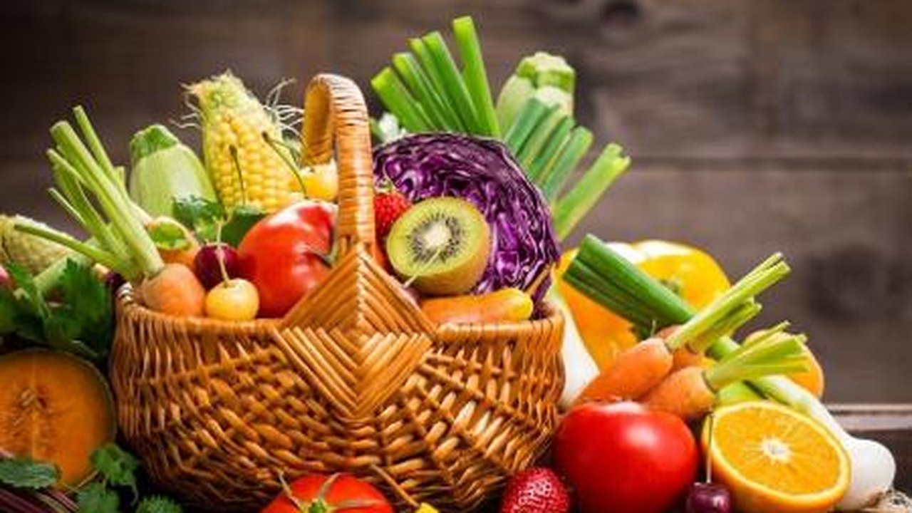 Fanut apresenta proposta para instituir Centro de Alimentação na Ufal