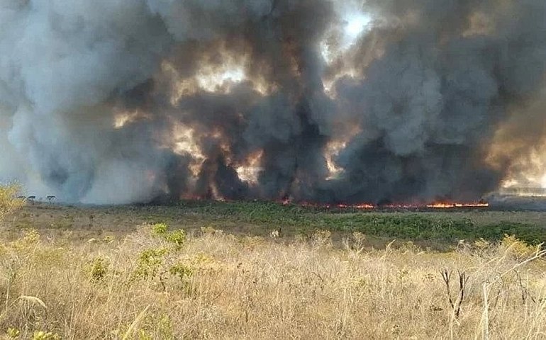 Serra das Confusões: fogo atinge áreas de Caatinga do Parque Nacional